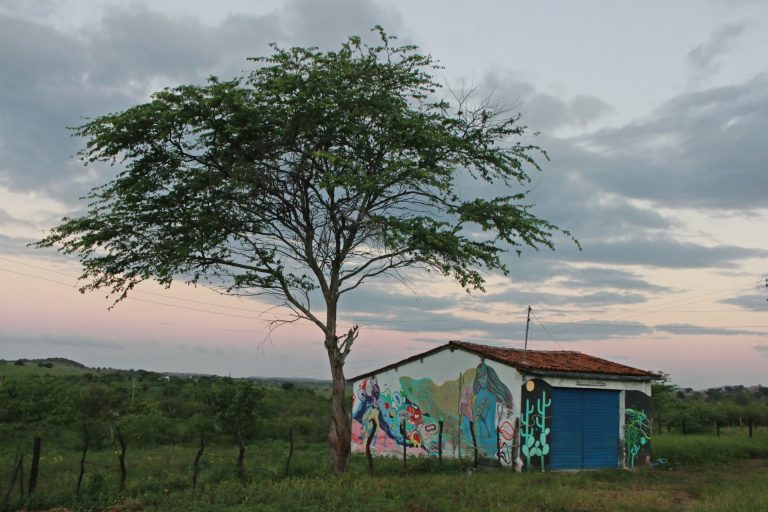 Zona rural de Surubim. | Foto: Lulu/Surubim News