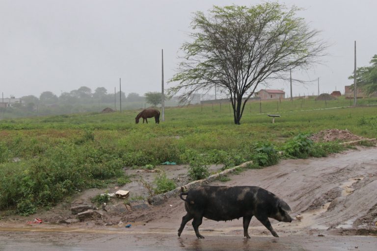Surubim durante chuvas de julho. | Foto: Lulu/Surubim News