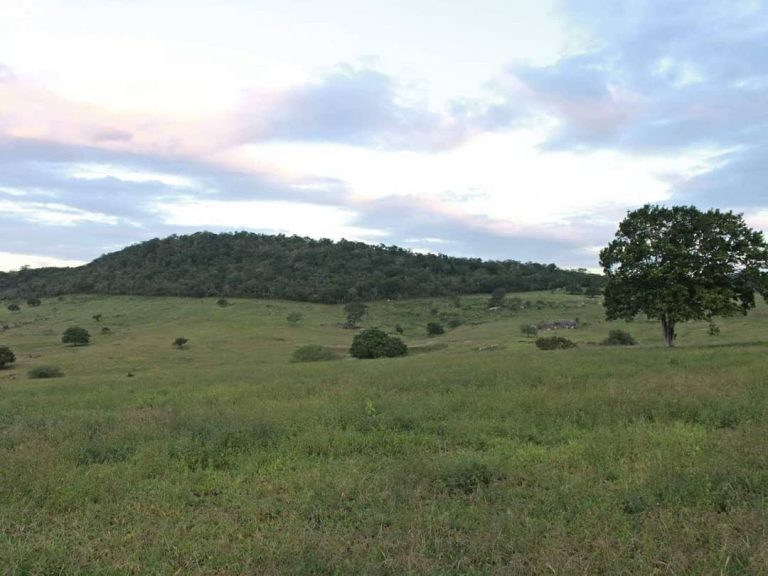 Zona rural de Surubim. | Foto: Lulu/Surubim News