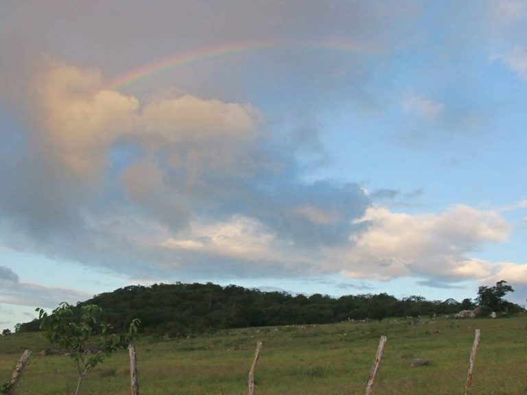 Zona rural de Surubim. | Foto: Lulu/Surubim News