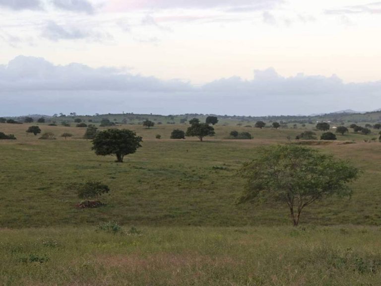 Zona rural de Surubim. | Foto: Lulu/Surubim News